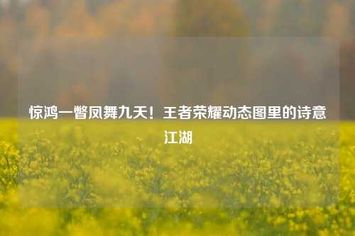 惊鸿一瞥凤舞九天！王者荣耀动态图里的诗意江湖
