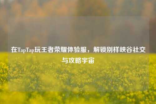 在TapTap玩王者荣耀体验服,解锁别样峡谷社交与攻略宇宙