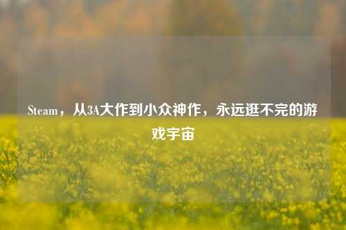 Steam,从3A大作到小众神作,永远逛不完的游戏宇宙