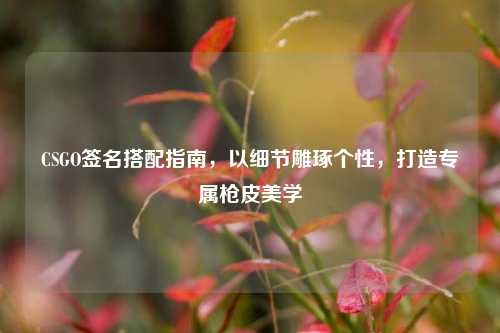 CSGO签名搭配指南,以细节雕琢个性,打造专属枪皮美学
