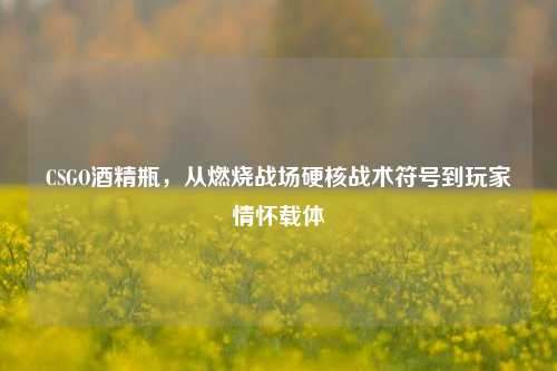 CSGO酒精瓶,从燃烧战场硬核战术符号到玩家情怀载体