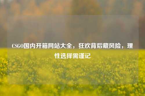 CSGO国内开箱网站大全,狂欢背后藏风险,理性选择需谨记