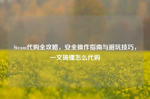 Steam代购全攻略，安全操作指南与避坑技巧，一文搞懂怎么代购