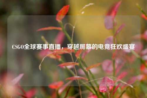 CSGO全球赛事直播,穿越屏幕的电竞狂欢盛宴