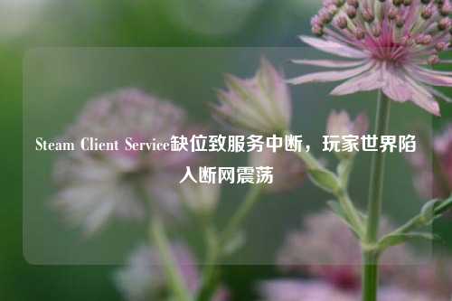 Steam Client Service缺位致服务中断,玩家世界陷入断网震荡