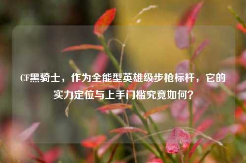 CF黑骑士,作为全能型英雄级步枪标杆,它的实力定位与上手门槛究竟如何?