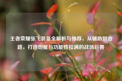 王者荣耀张飞装备全解析与推荐,从辅助到边路,打造坦度与功能性拉满的战场巨兽