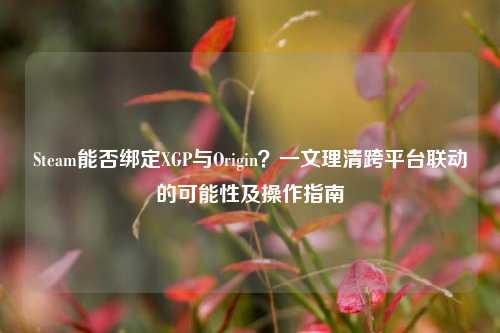 Steam能否绑定XGP与Origin?一文理清跨平台联动的可能性及操作指南