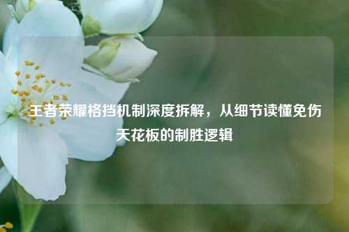 王者荣耀格挡机制深度拆解,从细节读懂免伤天花板的制胜逻辑