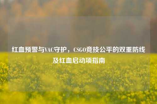 红血预警与VAC守护,CSGO竞技公平的双重防线及红血启动项指南