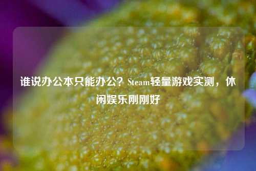 谁说办公本只能办公?Steam轻量游戏实测,休闲娱乐刚刚好