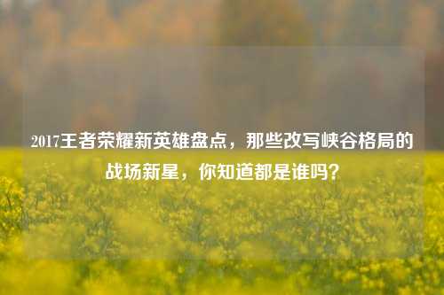 2017王者荣耀新英雄盘点,那些改写峡谷格局的战场新星,你知道都是谁吗?