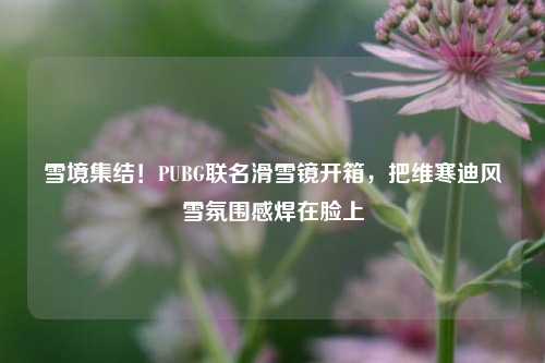 雪境集结!PUBG联名滑雪镜开箱,把维寒迪风雪氛围感焊在脸上