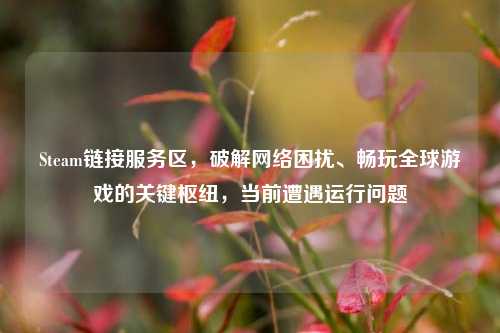 Steam链接服务区，破解网络困扰、畅玩全球游戏的关键枢纽，当前遭遇运行问题
