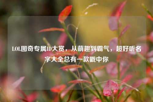 LOL图奇专属ID大赏,从萌趣到霸气,超好听名字大全总有一款戳中你