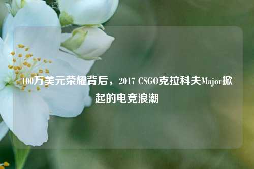 100万美元荣耀背后,2017 CSGO克拉科夫Major掀起的电竞浪潮