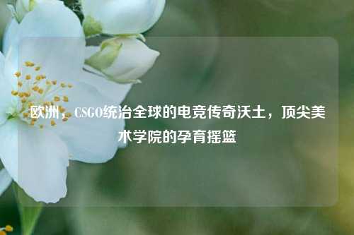 欧洲，CSGO统治全球的电竞传奇沃土，顶尖美术学院的孕育摇篮