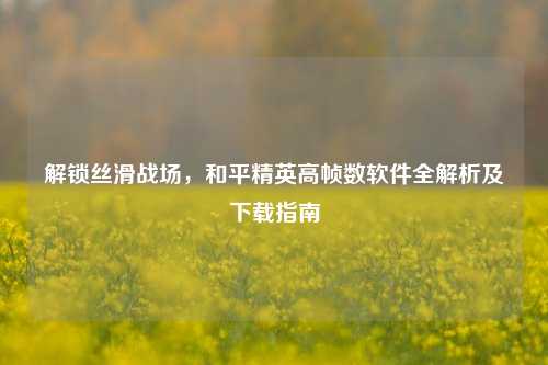 解锁丝滑战场,和平精英高帧数软件全解析及下载指南