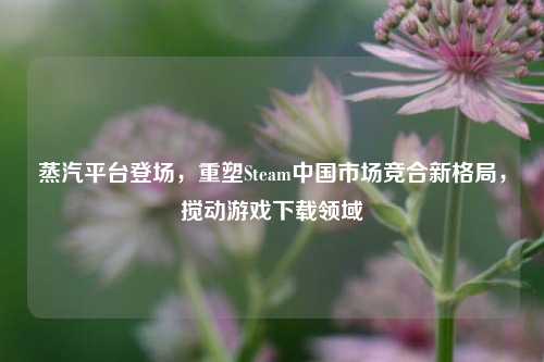 蒸汽平台登场,重塑Steam中国市场竞合新格局,搅动游戏下载领域
