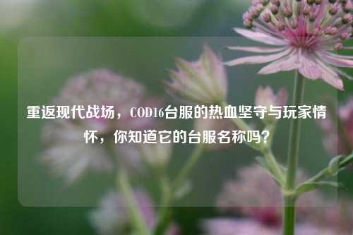 重返现代战场,COD16台服的热血坚守与玩家情怀,你知道它的台服名称吗?