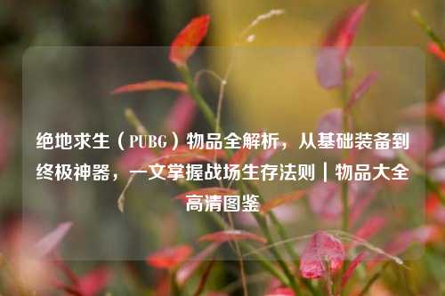绝地求生(PUBG)物品全解析,从基础装备到终极神器,一文掌握战场生存法则|物品大全高清图鉴