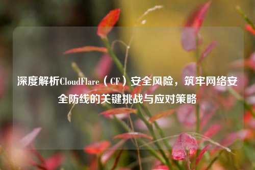 深度解析CloudFlare(CF)安全风险,筑牢网络安全防线的关键挑战与应对策略