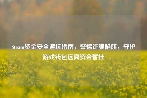 Steam资金安全避坑指南，警惕诈骗陷阱，守护游戏钱包远离资金暂挂
