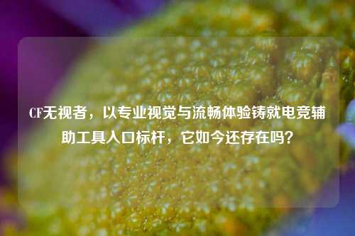CF无视者,以专业视觉与流畅体验铸就电竞辅助工具入口标杆,它如今还存在吗?
