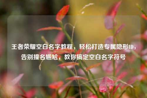 王者荣耀空白名字教程,轻松打造专属隐形ID,告别撞名尴尬,教你搞定空白名字符号
