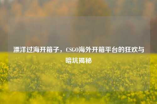 漂洋过海开箱子,CSGO海外开箱平台的狂欢与暗坑揭秘