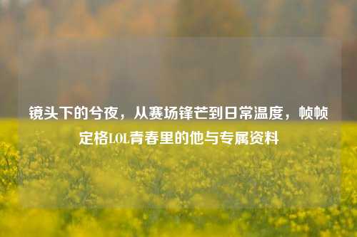 镜头下的兮夜,从赛场锋芒到日常温度,帧帧定格LOL青春里的他与专属资料
