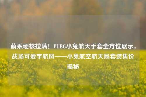 萌系硬核拉满！PUBG小兔航天手套全方位展示，战场可爱宇航风——小兔航空航天局套装售价揭秘