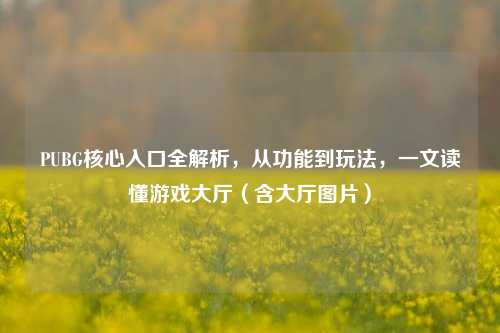 PUBG核心入口全解析，从功能到玩法，一文读懂游戏大厅（含大厅图片）