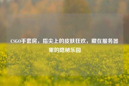 CSGO手套房，指尖上的皮肤狂欢，藏在服务器里的隐秘乐园