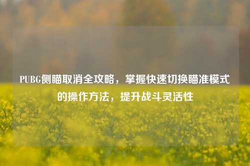 PUBG侧瞄取消全攻略，掌握快速切换瞄准模式的操作方法，提升战斗灵活性