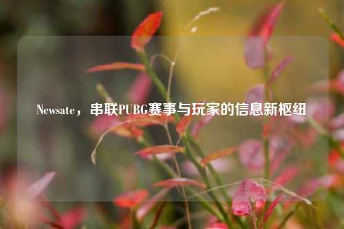 Newsate，串联PUBG赛事与玩家的信息新枢纽