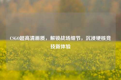 CSGO超高清画质,解锁战场细节,沉浸硬核竞技新体验