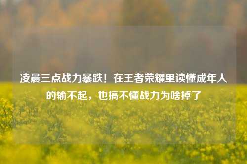 凌晨三点战力暴跌！在王者荣耀里读懂成年人的输不起，也搞不懂战力为啥掉了