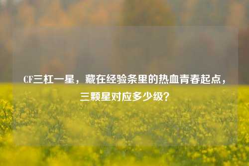 CF三杠一星，藏在经验条里的热血青春起点，三颗星对应多少级？