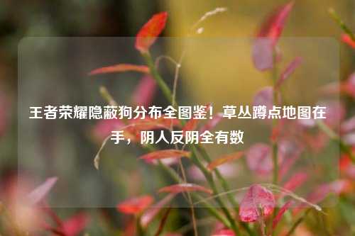 王者荣耀隐蔽狗分布全图鉴！草丛蹲点地图在手，阴人反阴全有数