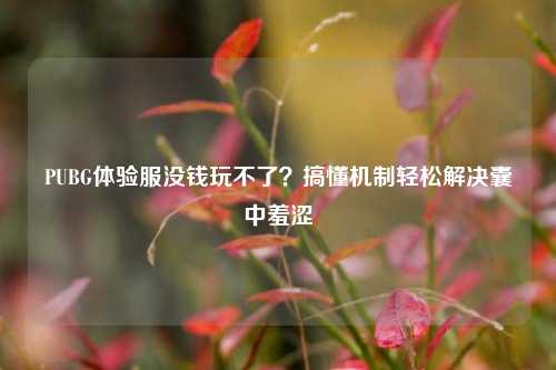 PUBG体验服没钱玩不了?搞懂机制轻松解决囊中羞涩