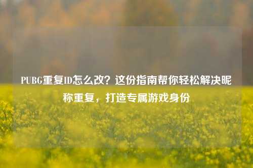 PUBG重复ID怎么改？这份指南帮你轻松解决昵称重复，打造专属游戏身份