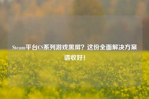 Steam平台CS系列游戏黑屏？这份全面解决方案请收好！