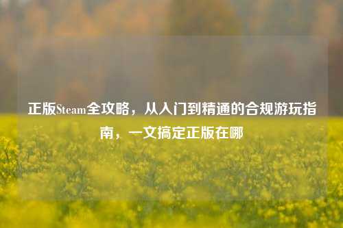 正版Steam全攻略,从入门到精通的合规游玩指南,一文搞定正版在哪