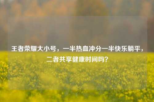 王者荣耀大小号，一半热血冲分一半快乐躺平，二者共享健康时间吗？