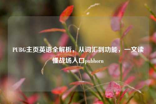 PUBG主页英语全解析，从词汇到功能，一文读懂战场入口pubhorn