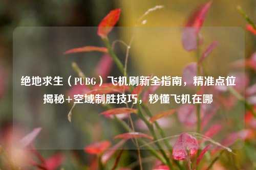 绝地求生（PUBG）飞机刷新全指南，精准点位揭秘+空域制胜技巧，秒懂飞机在哪