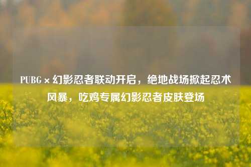 PUBG×幻影忍者联动开启,绝地战场掀起忍术风暴,吃鸡专属幻影忍者皮肤登场