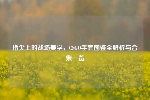 指尖上的战场美学,CSGO手套图鉴全解析与合集一览