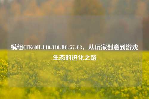 模组CFK60H-L10-110-BC-57-C3，从玩家创意到游戏生态的进化之路